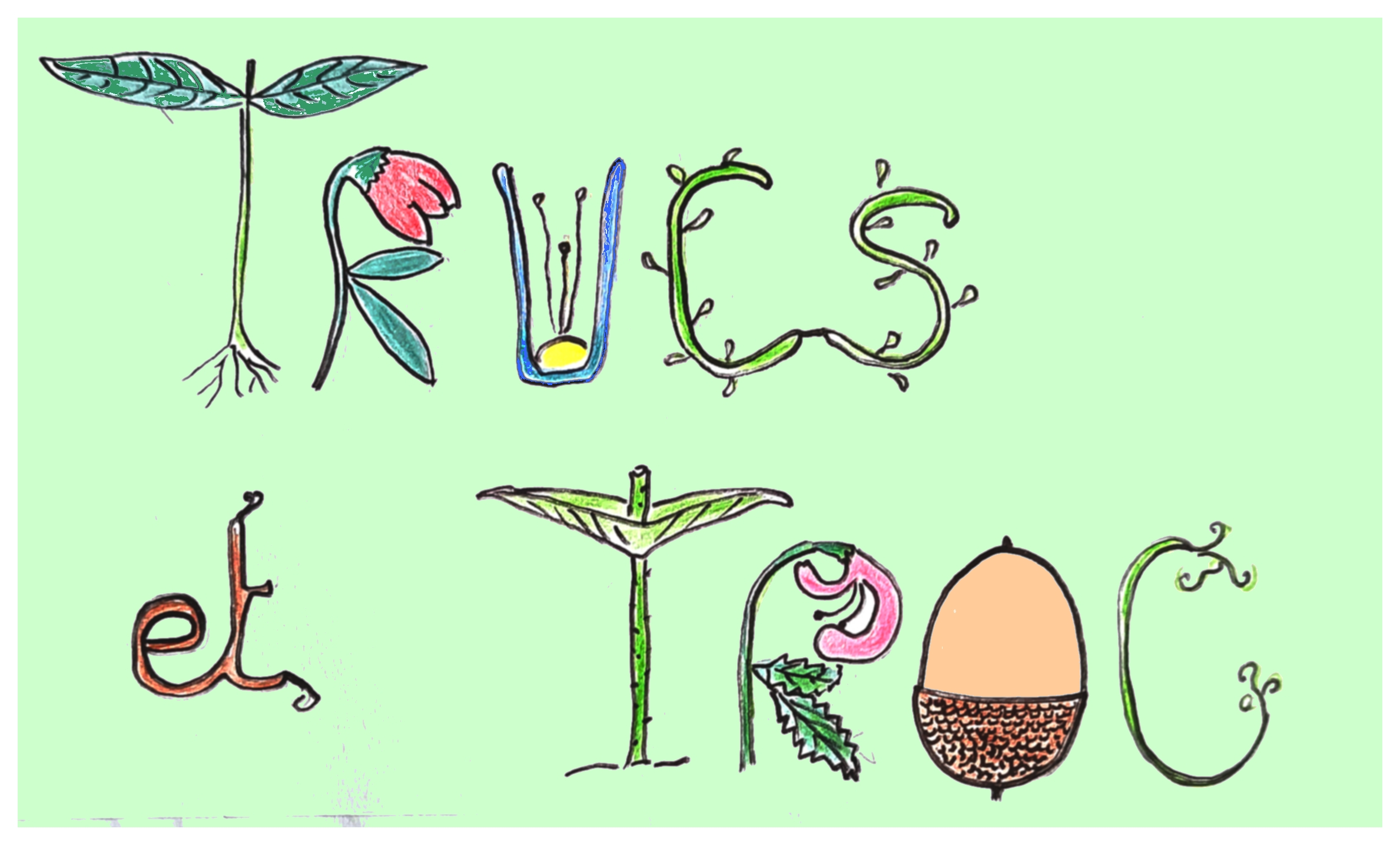 soiree trucs et troc